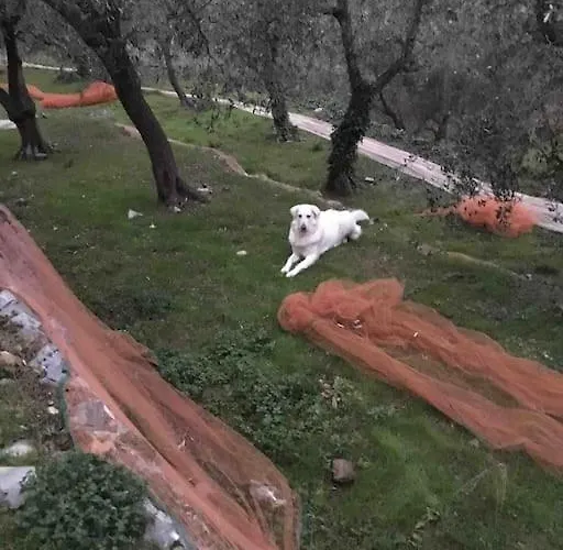 Vila Al Chiaro Di Luna Finale Ligure